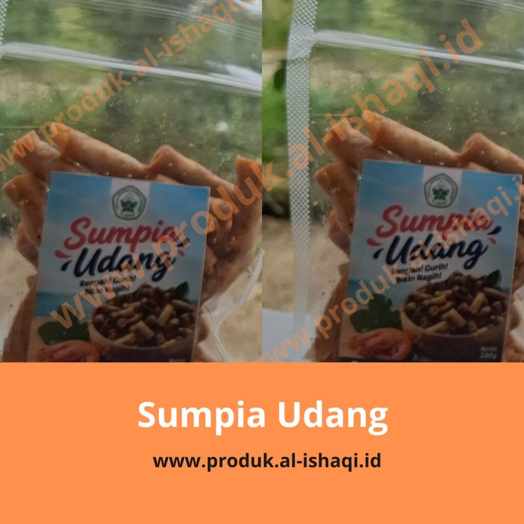 Sumpia Abon Sapi / Sumpia Udang — foto 2